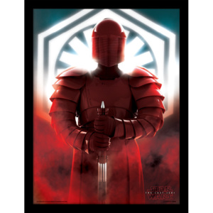 Obraz na zeď - Star Wars: Poslední z Jediů - Elite Guard Defend