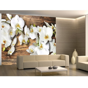 * Fototapeta bílá orchidej na dřevě (300x231 cm) - Murando DeLuxe