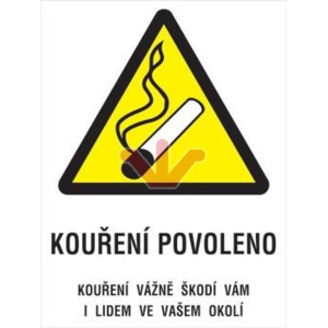 Plechová cedule Kouření povoleno M