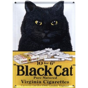 Plechová cedule Black Cat - kočka