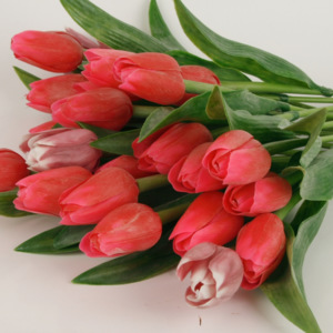 Tulipán umělý červený 40cm