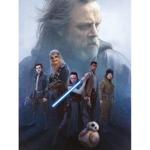 Obraz na plátně Star Wars: Poslední z Jediů - Hope, (60 x 80 cm)