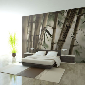 Fototapeta - Mlha a bambusový les 450x270