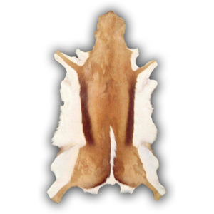 Kožená předložka z antilopy Pipsa Gacela, 85 x 50 cm