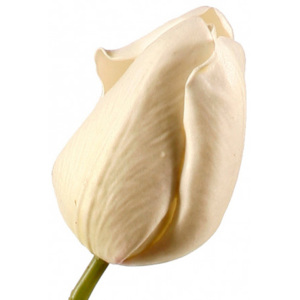 Kelly Hoppen Dekorační tulipán bílý - set 2