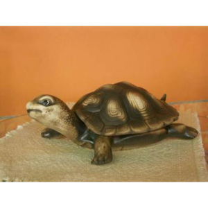 Keramická želva s krunýřem 48836439