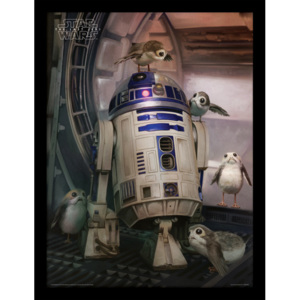 Obraz na zeď - Star Wars: Poslední z Jediů - R2-D2 & Porgs