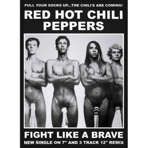 Plakát, Obraz - Red hot chili peppers - fight like a brave, (59,5 x 84 cm)
