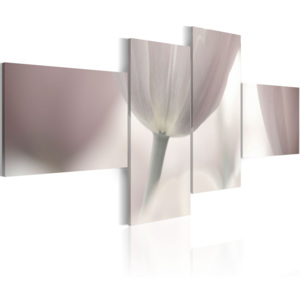 Artgeist Obraz - Bílé tulipány 100x45
