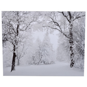 Obraz Ewax Snowy Nature, 40 x 50 cm