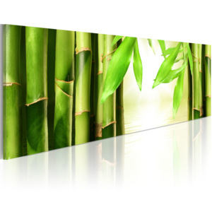 Artgeist Obraz - Bamboo gate 120x40
