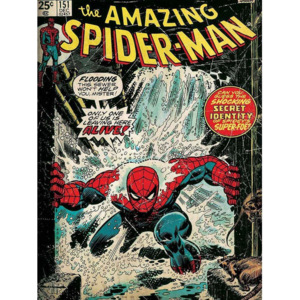 Obraz na plátně: Amazing Spiderman (comics) - 75x100 cm