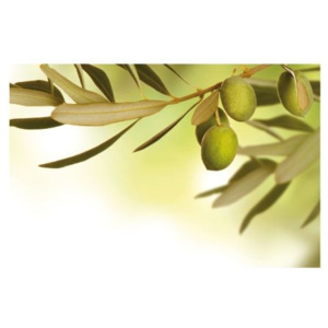 Prostírání PICTURE oliva - Kela