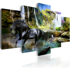 Artgeist Obraz - Black horse on the background of paradise waterfall 100x50