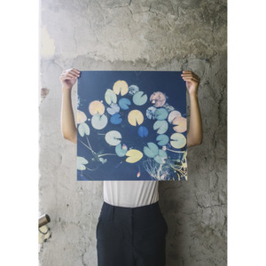 Plakát Water lilies 50x50 cm (kód BDAY10 na -20 %)