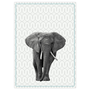 Kuchyňská utěrka PT LIVING Elephant, 50 x 70 cm