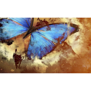C2592P8 Fototapeta: Malovaný motýl - 254x368 cm