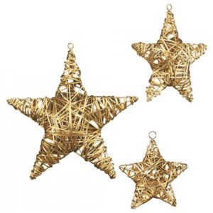 Vánoční hvězda CHRISTO 6 variant - Philippi Barva: Zlatá, velikost S