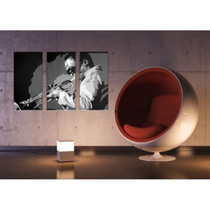 Ručně malovaný POP Art Sleva 25 % obraz Miles Davis 3 dílný 150x100 cm md/24h