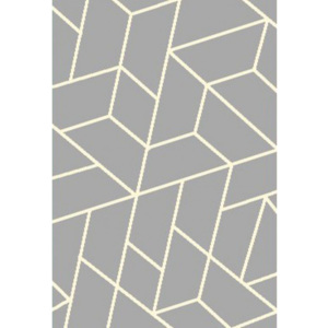 Kusový koberec Shaggy Alise šedý 2