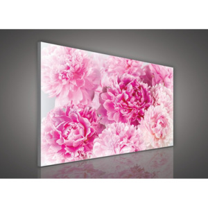 Obraz na plátně: Růžové růže (2) - 75x100 cm