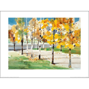 Obraz, Reprodukce - Law Wai Hin - Autumn Trees, (40 x 30 cm)