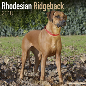 Kalendář 2018 Rhodéský ridgeback