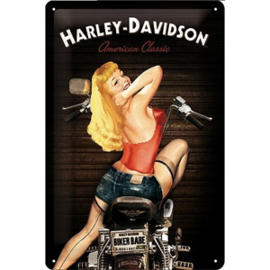 Plechová cedule Harley Davidson Biker babe použito