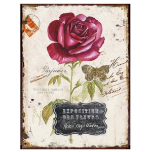 Autronic Obraz na plátně Rozkvetlá růže
