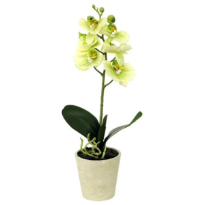 Umělá květina orchidea zelená, 39,5 cm, Autronic