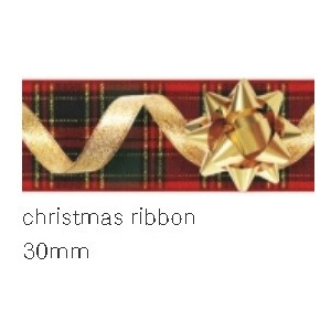 Mt washi páska "christmas ribbon" 30 mm