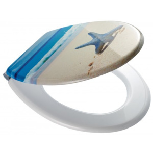 Ridder Starfish WC sedátko, soft close, MDF s motivem 42,5 × 35,7 cm, MK44214