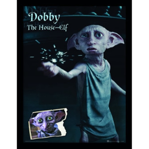 Obraz na zeď - Harry Potter - Dobby