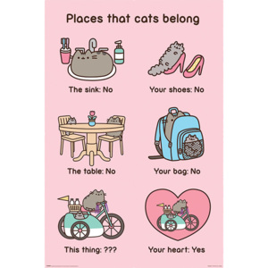 Plakát, Obraz - Pusheen - Places Cats Belong, (61 x 91,5 cm)