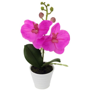 Orchidea v keramickém květináči, tm. růžová, ORC720902