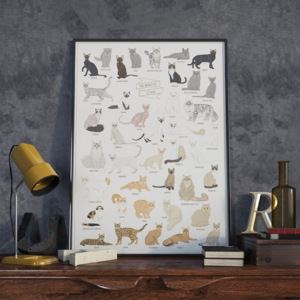 Plakát Follygraph The World of Cats, 42x59,4 cm