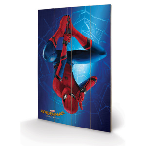 Dřevěný obraz Spider-Man Homecoming - Hang, (40 x 59 cm)