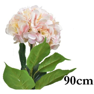 Hortenzie růžová 90 cm