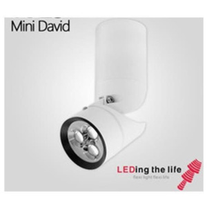 Ledingthelife LED svítidlo Mini David přisazené, 3000K, bílá