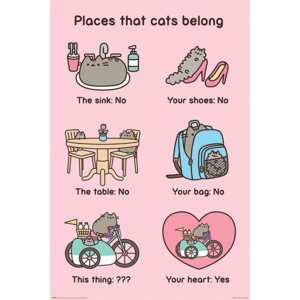 Plakát - Pusheen (Places Cats Belong)