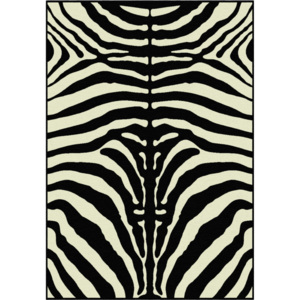 Tempo Kondela Koberec ARWEN 100x140 - vzor zebra