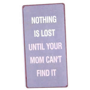 Magnet Nothing is lost