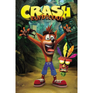 Plakát, Obraz - Crash Bandicoot - Crash, (61 x 91,5 cm)