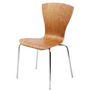 Židle SANDRA Nábytek | Jídelní prostory | Jídelní židle