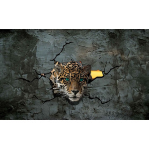 Fototapeta, Tapeta Leopard 3D, (312 x 219 cm)
