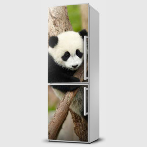 Fototapeta samolepící na lednice - Panda