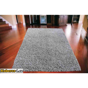 Kusový koberec Shaggy vlas 50 mm šedý 80x150, Velikosti 80x150cm