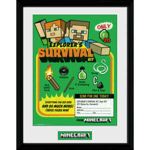 Obraz na zeď - Minecraft - Survival Kit