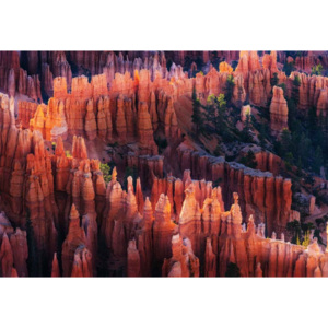 Fototapeta, Tapeta Bryce Canyon At Sunset, (254 x 184 cm)