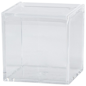 KJ Collection Plastový úložný box s víkem